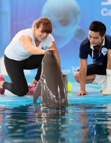 时间磨炼着 时间磨炼着