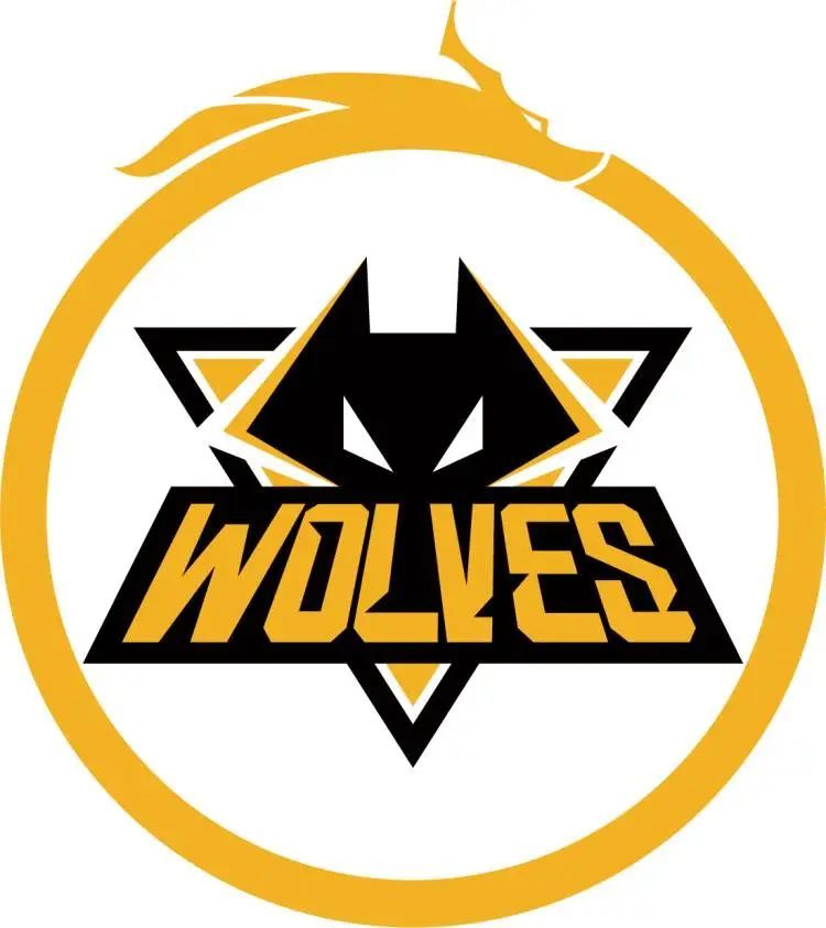 市场波动会 市场波动会